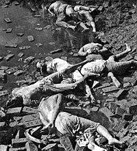 Dead bodies of Bengali intellectuals, 14 December 1971.jpg