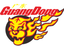 Guangdong Southern Tigers logo