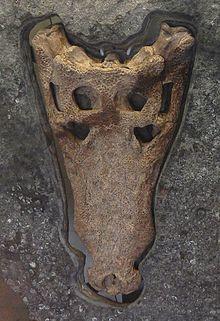 Swanage Crocodile Goniopholis kiplingi.jpg