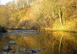 Reflections on the River Hindburn - geograph.org.uk - 1110307.jpg