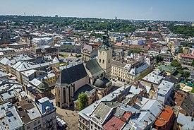Латинський кафедральний собор (Львів) 16.jpg