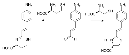 Detection of Homocysteine and Cysteine