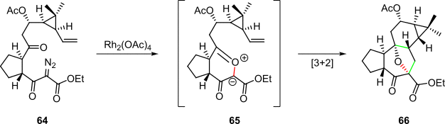 Scheme 13. Rhodium(II)-carbenoid-initiated cascade in the synthesis of a tigliane
