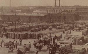 Tracking Cotton from Steamboat, New Orleans, Levee.tif