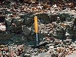 Tendaguru Formation - Middle Dinosaur Member.jpg