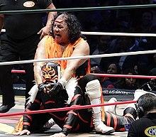 CMLL November 30 Jerry Estrada and El Felino.jpg