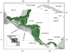 Red-eyed Treefrog Agalychnis callidryas distribution map 3.png