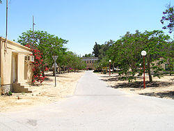 Avenue Revivim.jpg