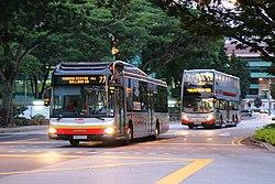 SMRT MAN A22 Gemilang SMB3004E 77 Alexander Dennis Enviro500 MMC 106.jpg