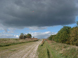 South Downs Way, towards Chanctonbury Ring.jpg