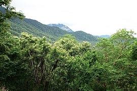 Anamalai Hills - panoramio.jpg