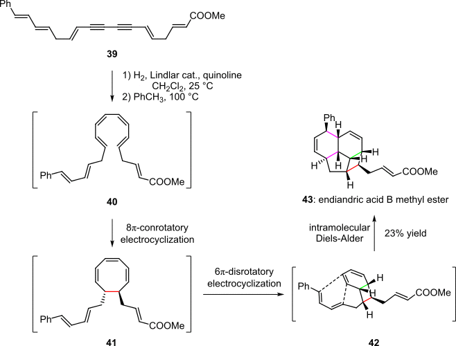 Scheme 8. Pericyclic cascade in the synthesis of endiandric acid derivatives