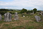 Thornback Graveyard - geograph.org.uk - 487667.jpg