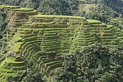 Banaue-terrace.JPG