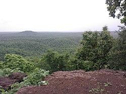 Chavsala takdi , yavatmal - panoramio (1).jpg