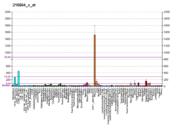 PBB GE CDKN1C 216894 x at fs.png