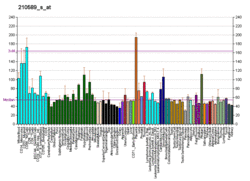PBB GE GBA 210589 s at fs.png