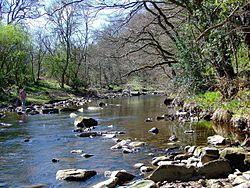 River Derwent - geograph.org.uk - 1529420.jpg