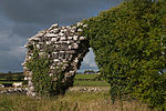 Kilcreevanty Abbey North Wall 2010 09 16.jpg