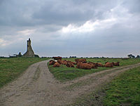 Pastoral Scene - geograph.org.uk - 549489.jpg