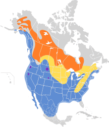 Bucephala albeola map.svg
