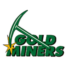 Team logo