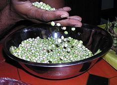 Pigeon peas.jpg