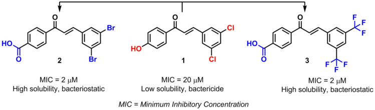 Example of bioisosterism in chalcones