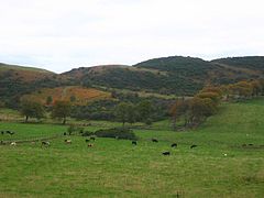 Torphichen Hills.jpg