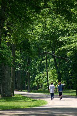 Fort ancient main trail 2006.jpg