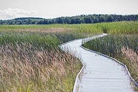 Presqu'ile20.jpg