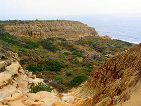 Torrey Pines State Park Valley.jpg
