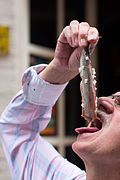 Haring 03.jpg