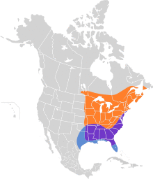 Scolopax minor map.svg