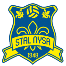 StalNysa Logo.png