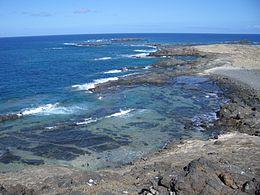 Selvagem Pequena - 1ago04.jpg