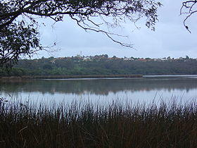 Lake joondalup westward.JPG