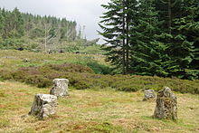 Aucheleffan Standing Stones - geograph.org.uk - 904665.jpg