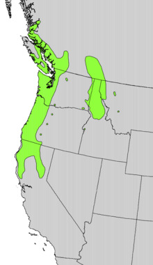 Rhamnus purshiana range map.png