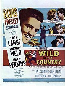 WildintheCountryMoviePoster.jpg