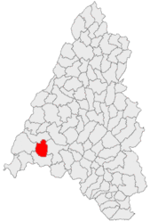 Location in Bihor County