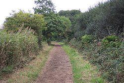 The Freshwater Way cycle path - geograph.org.uk - 62430.jpg