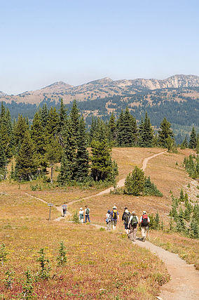 HikingIntoMeadow 1150H.jpg