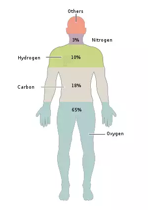 201 Elements of the Human Body.02.svg