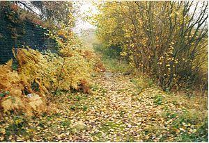 Dudley Signal-box (4).jpg