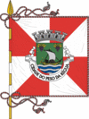 Flag of Peso da Régua