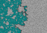 Front de percolation.png