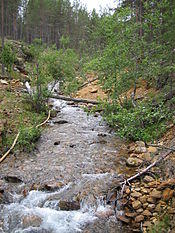 River at Lemmenjoki national park, Finland IMG 0330.JPG