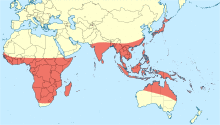 Tholymis tillarga distribution map.svg