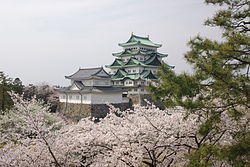 080405 nagoya csl sakura.JPG